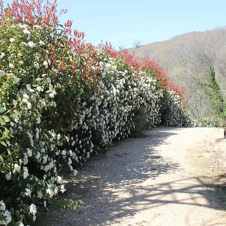 Refugio De Chilla Retiro Candeleda