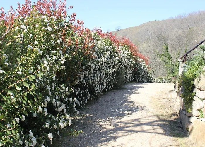 Refugio De Chilla Retiro 칸델레다